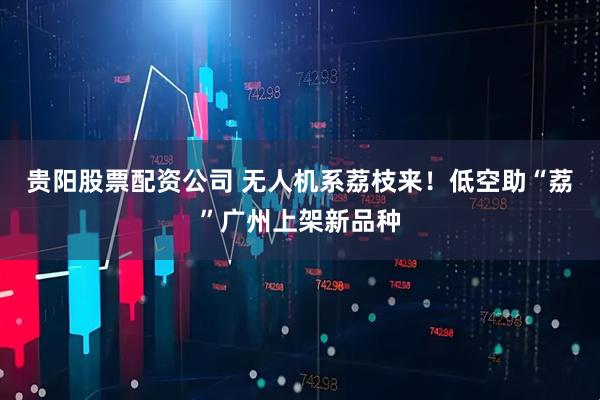 贵阳股票配资公司 无人机系荔枝来！低空助“荔”广州上架新品种